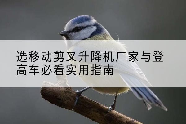 海东电动升降机厂家-选移动剪叉升降机厂家与登高车必看实用指南