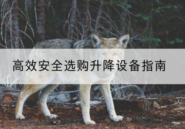 海东升降货梯厂家推荐-*安全选购升降设备指南