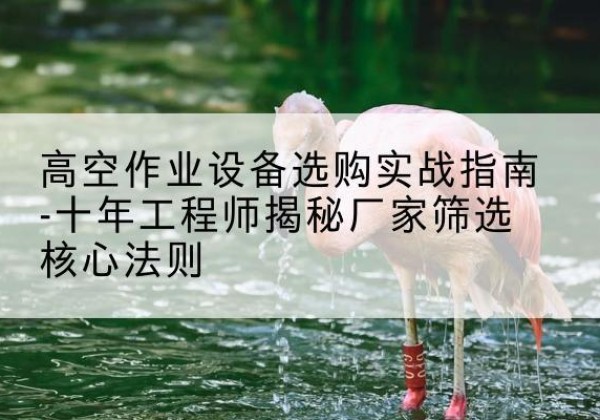 海东剪叉式升降机厂家-高空作业设备选购实战指南-十年工程师揭秘厂家筛选核心法则